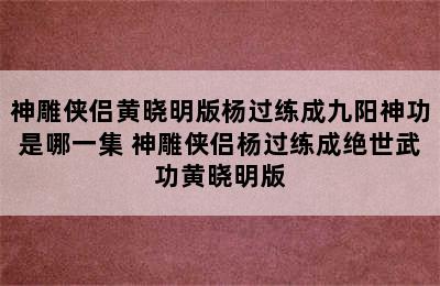 神雕侠侣黄晓明版杨过练成九阳神功是哪一集 神雕侠侣杨过练成绝世武功黄晓明版